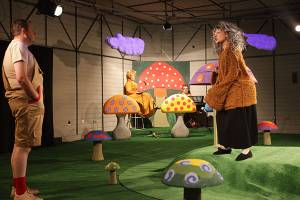 Predstava za djecu "Put do čarolije" sutra na sceni BNP-a